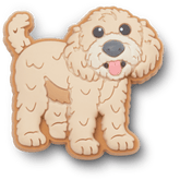 Crocs b'Golden Doodle Puppy Jibbitz Shoe Charm' Women|Men|Jibbitz™ Charms
