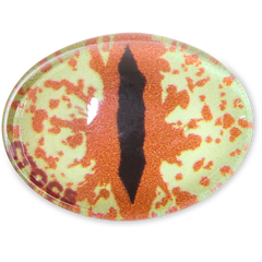 Crocs Hazel Animal Eye Jibbitz™ charms Women|Men|Jibbitz™ Charms