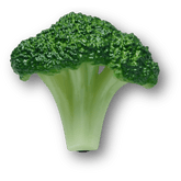 Crocs Realistic Broccoli Jibbitz™ charms Women|Men|Jibbitz™ Charms