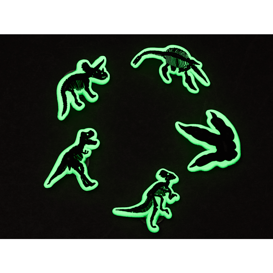 Crocs Glow In The Dark Dino 5 Pack Jibbitz Shoe Charm Women|Men|Jibbitz™ Charms