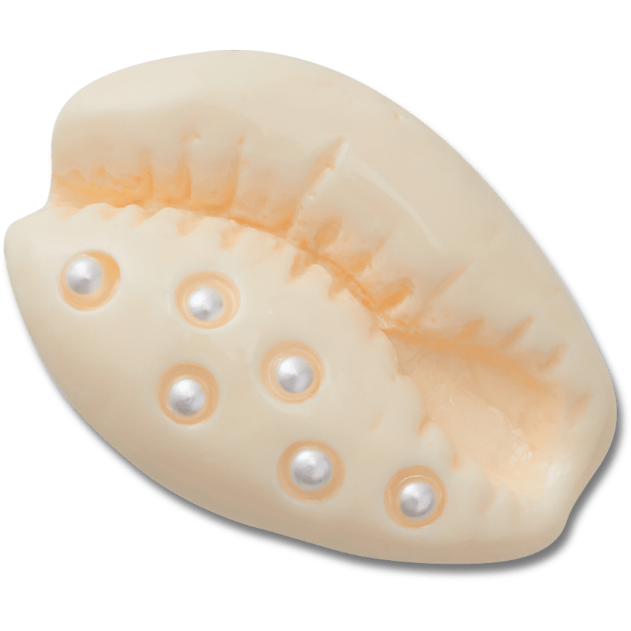 Crocs Pearl Puka Shell Jibbitz™ charms Women|Men|Jibbitz™ Charms