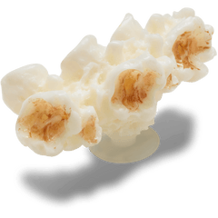 Crocs Realistic Popcorn 2 Jibbitz™ charms Women|Men