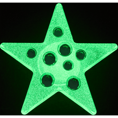 Crocs Green Gem Star Jibbitz™ charms Women|Men