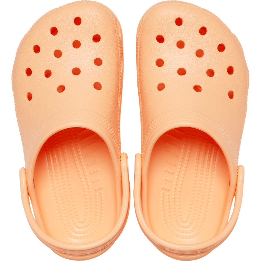 Crocs Toddler Classic Clog Kids